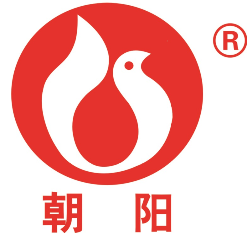 燃爆了（衡阳砂轮厂）衡阳市机械化施工公司，(图2)