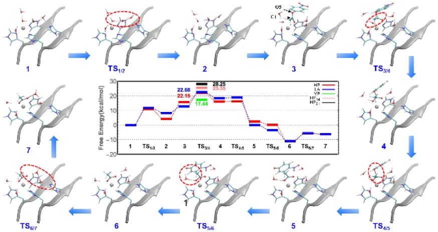 科研进展：南京大学董昊教授和王炜教授课题组合作在功能多肽自组装领域取得新进展(图2)