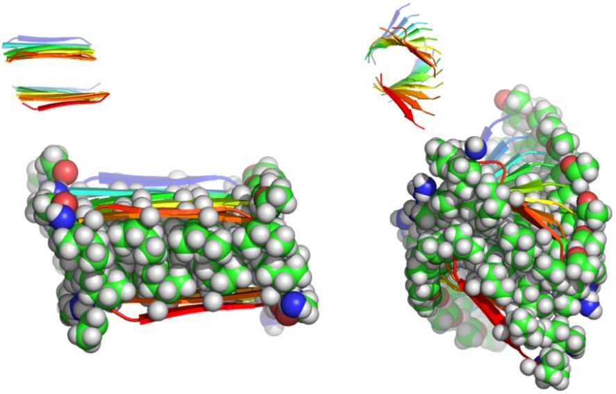 科研进展：南京大学董昊教授和王炜教授课题组合作在功能多肽自组装领域取得新进展(图1)