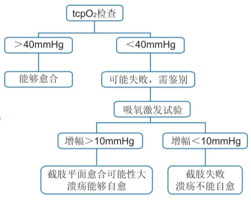 什么是经皮氧分压健康科普丨糖尿病足防治新利器---经皮氧分压检测_https://www.jmylbn.com_新闻资讯_第6张