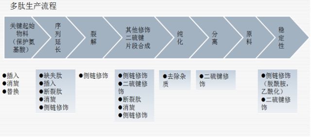 图2 多肽工艺流程及可能产生的杂质
