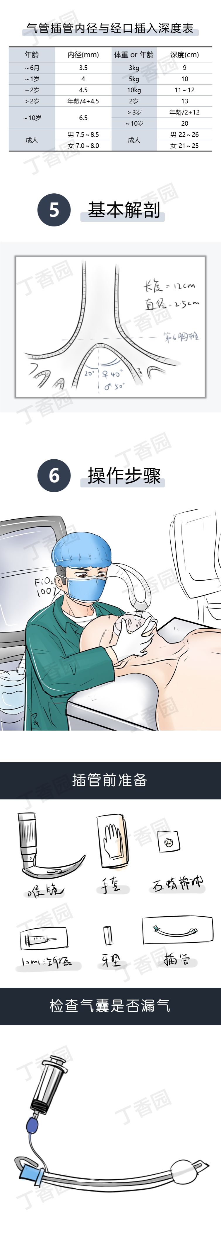 气管插管牙垫怎么放【急救】院前急救之经口气管插管术_https://www.jmylbn.com_新闻资讯_第17张