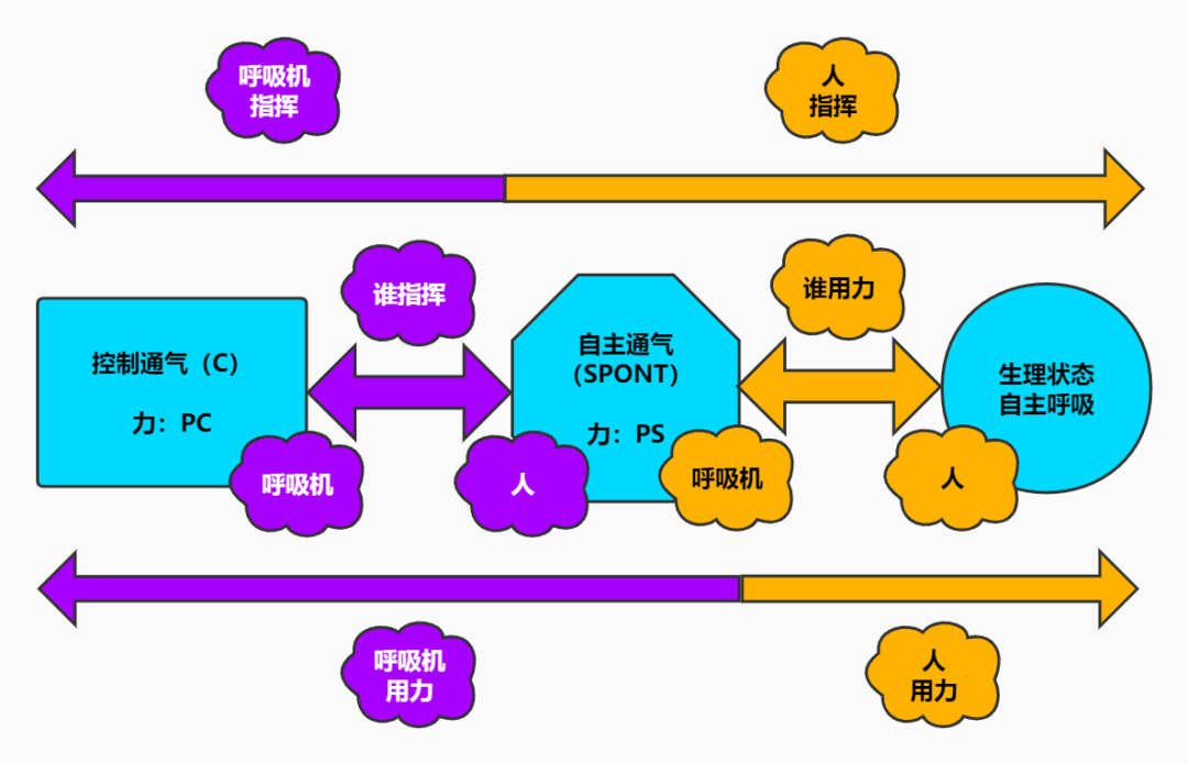 呼吸机f指什么呼吸机保姆级入门教程 (一) ： 呼吸机的 3 种最基本模式_https://www.jmylbn.com_新闻资讯_第6张