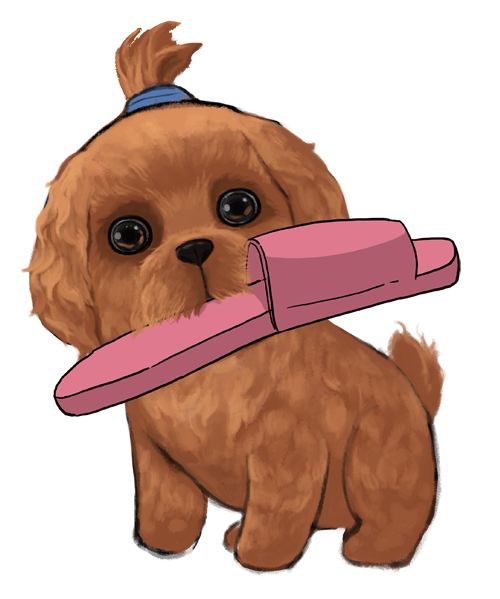 关于我们 歪理猫_生活歪理_诙谐漫画_毛哥表情包