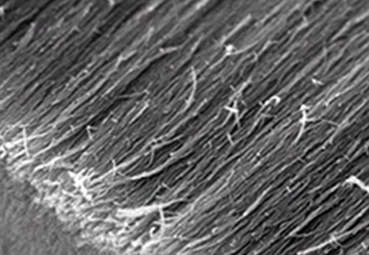 被称为第五能源的陶瓷纤维都有哪些典型纤维(图3)