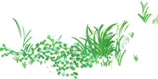 微信图片_20200816093303.png