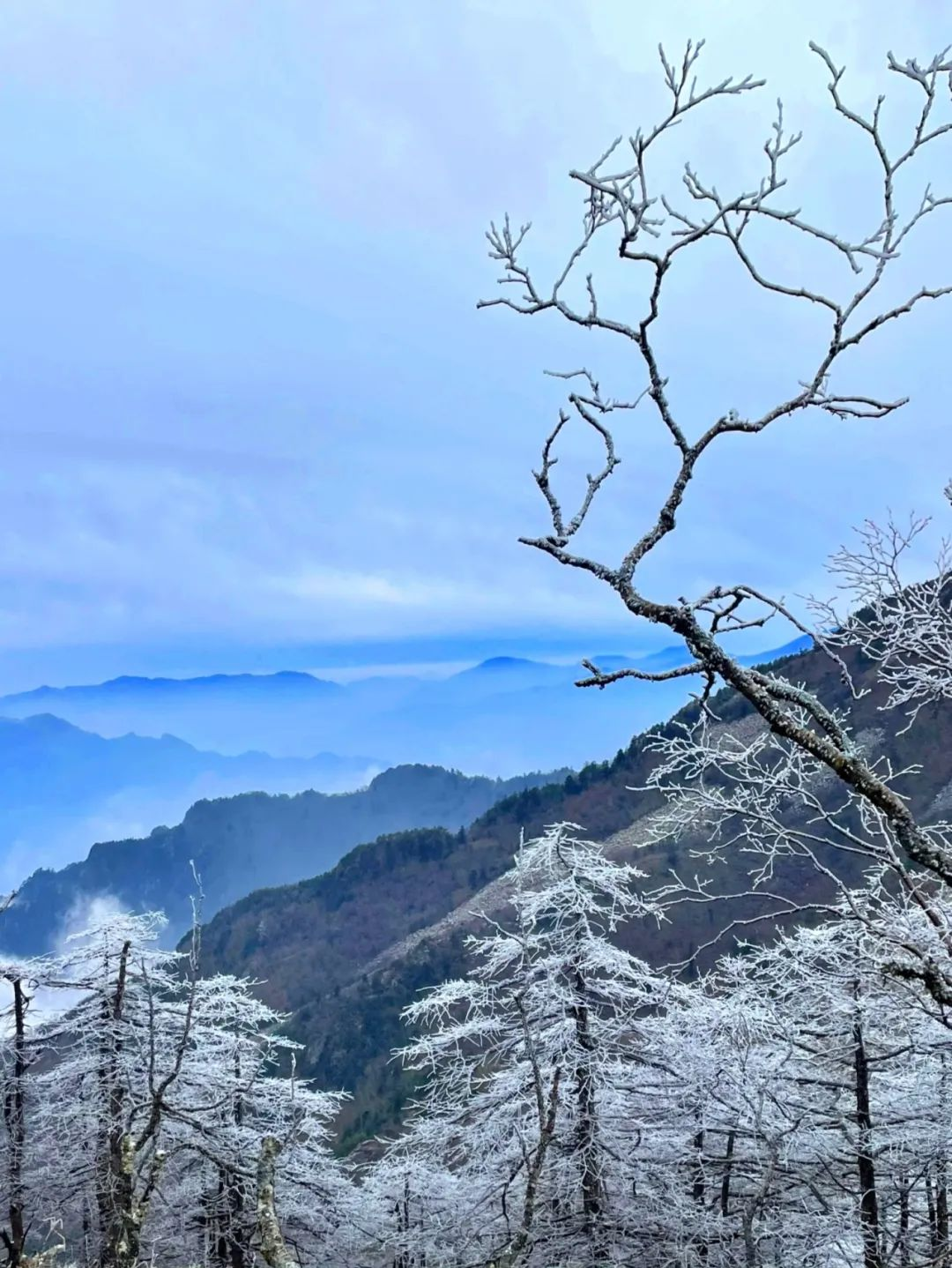 秦岭黄花岭冬天照片图片