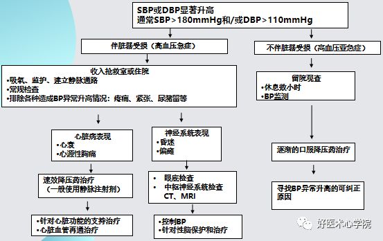 早讀 | 關於高血壓急症，還有比這篇更全面的總結嗎？ 健康 第3張