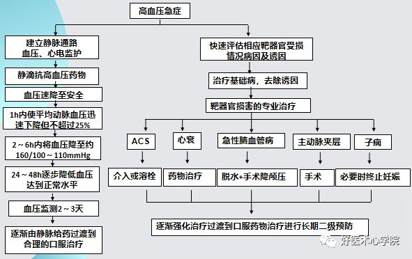 早讀 | 關於高血壓急症，還有比這篇更全面的總結嗎？ 健康 第4張