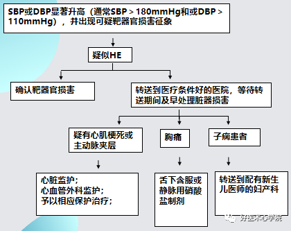 早讀 | 關於高血壓急症，還有比這篇更全面的總結嗎？ 健康 第5張