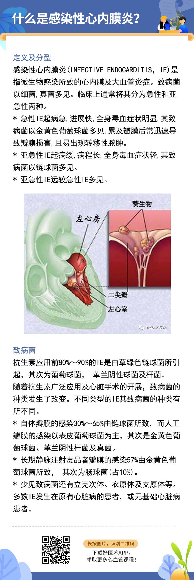 八张图带你全面掌握：感染性心内膜炎