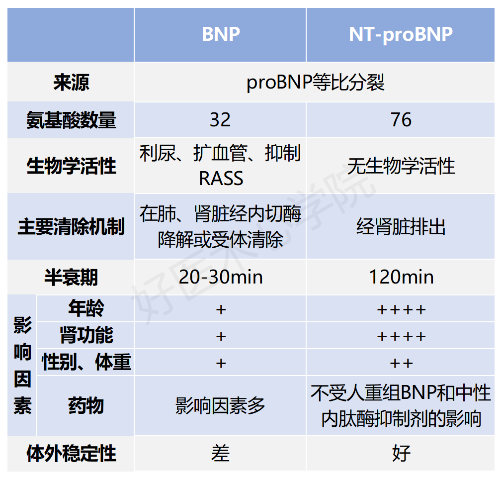 早读 Bnp与nt Probnp有什么区别 养生堂 日常养生保健大全 养生小知识 微信头条新闻公众号文章收集网