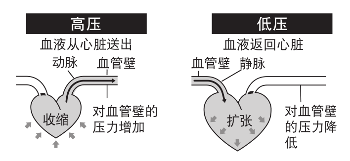 怎么用电子血压计高血压患者的必备技能——正确使用电子血压计_https://www.jmylbn.com_新闻资讯_第4张