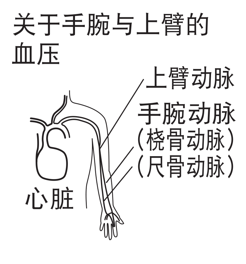 怎么用电子血压计高血压患者的必备技能——正确使用电子血压计_https://www.jmylbn.com_新闻资讯_第6张