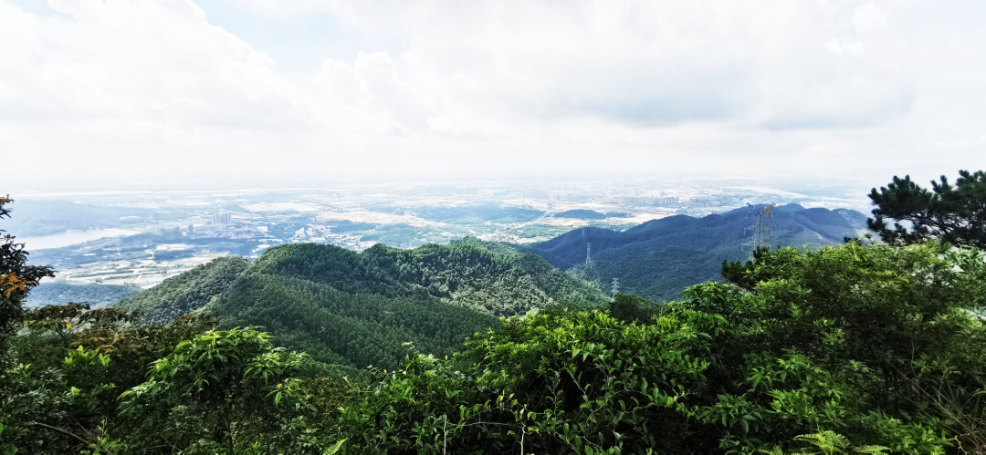 大旺将新增一个森林公园!位置就在.--肇房网