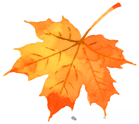 你对东山岛秋天的美，可能一无所知......