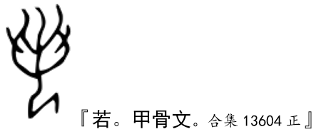 撓頭理髮 若有所思 若 字本相解開百年難題 漢字貞相 微信公众号文章阅读 Wemp