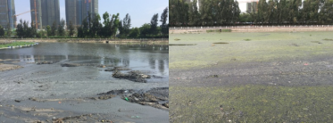 河道整治前照片