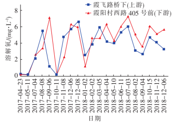河道溶解氧浓度变化情况