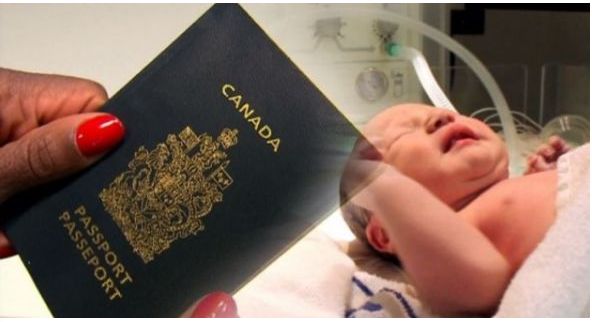 加拿大生美国孩子多吗_加拿大美国生孩子_加拿大人去美国生孩子