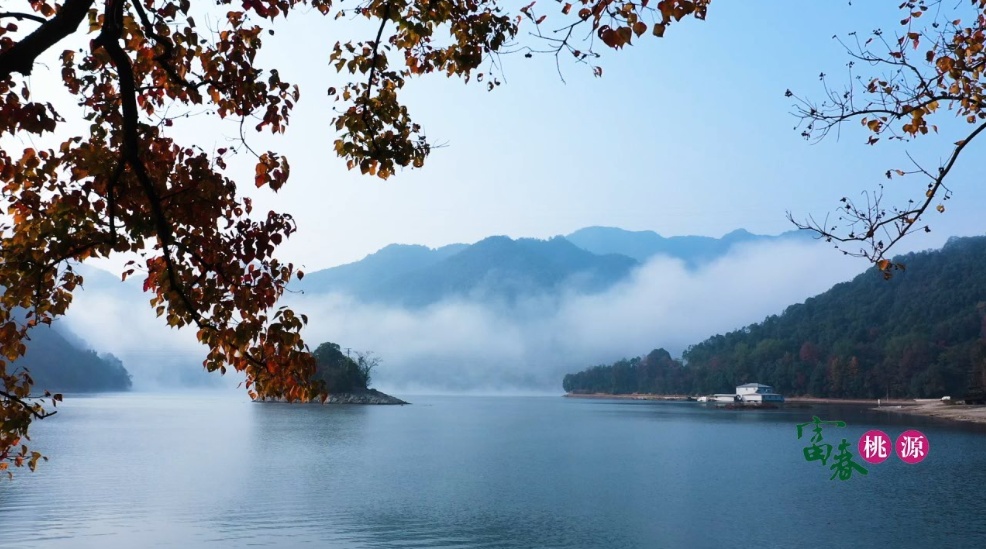 春节旅游优惠活动