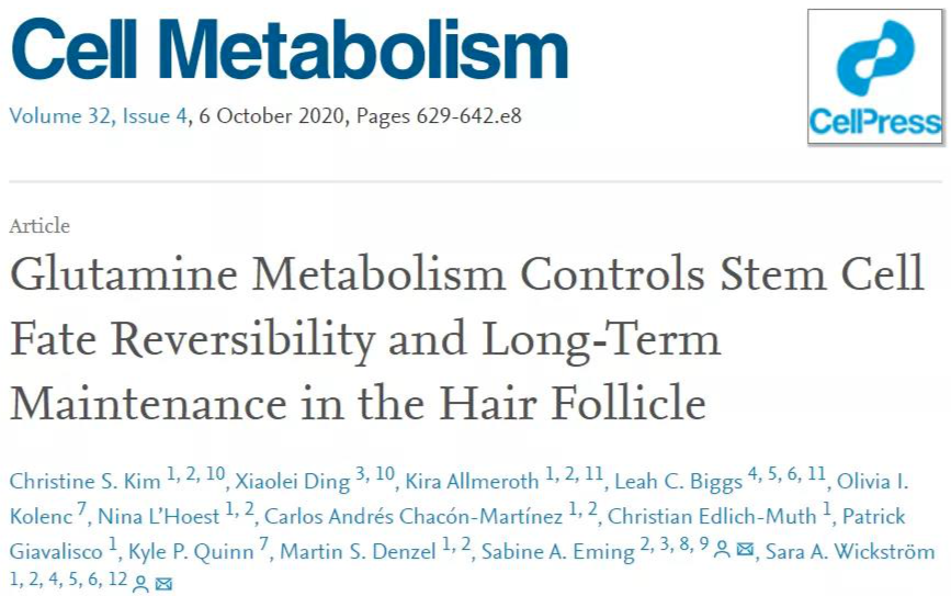 谷氨酰胺代谢掌控毛囊干细胞命运，保护发际线，从这里开始——