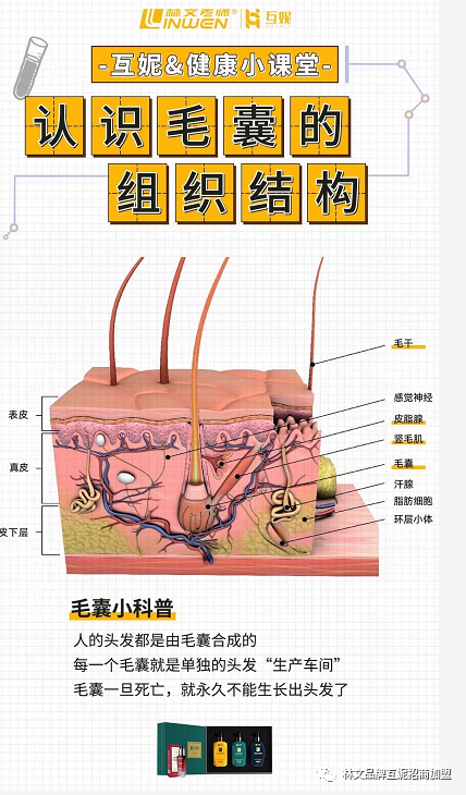 头皮也会衰老就问你怕不怕？