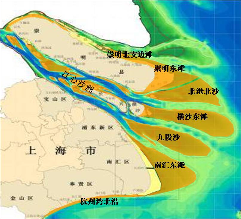 从历史沿革,长江三角洲演变来看,没有河口湿地的发育与演替,就没有