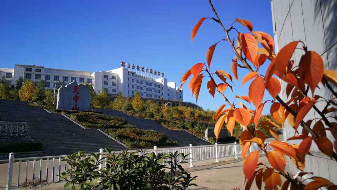 嵩山少林武术职业学院招生条件_嵩山少林武术职业技术学院招生_中国邮政网络培训学院