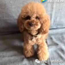 麻麻会使用降龙十八掌，吓得六一都走光啦~