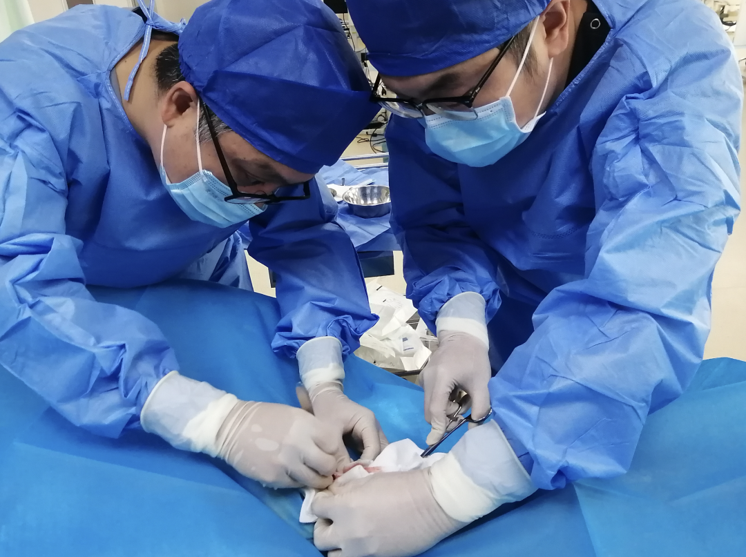 医院床位灯怎么关打造全链条急救闭环 EICU为危急重症患者守护生命之灯——山东大学第二医院重症医疗救治系列报道_https://www.jmylbn.com_新闻资讯_第6张