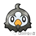 极品草龟与草龟的区别_黑腹草龟跟金线草龟_草苗龟