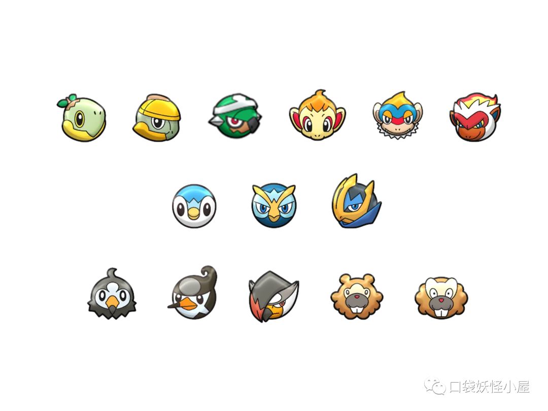 极品草龟与草龟的区别_草苗龟_黑腹草龟跟金线草龟