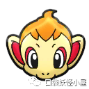 草苗龟_黑腹草龟跟金线草龟_极品草龟与草龟的区别