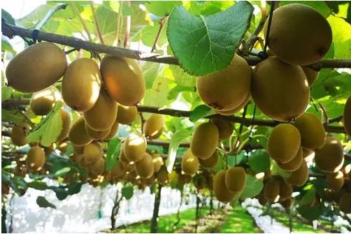 减肥运动的最佳时间_运动减肥_减肥运动视频教程