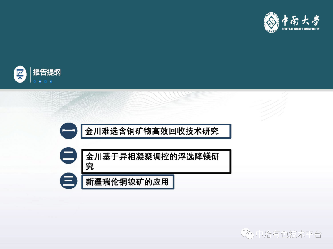 課堂 | 孫偉：金川銅鎳硫化礦降鎂藥劑探索的圖19