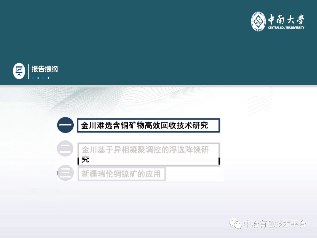 課堂 | 孫偉：金川銅鎳硫化礦降鎂藥劑探索的圖20