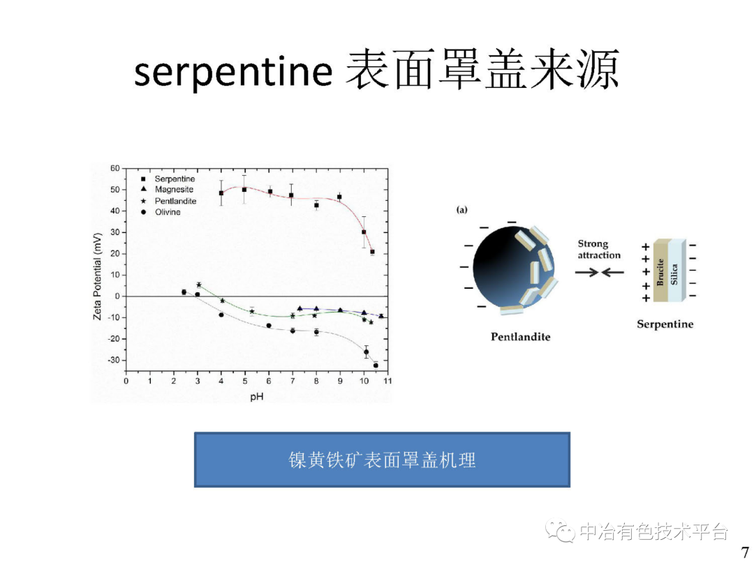 課堂 | 孫偉：金川銅鎳硫化礦降鎂藥劑探索的圖7