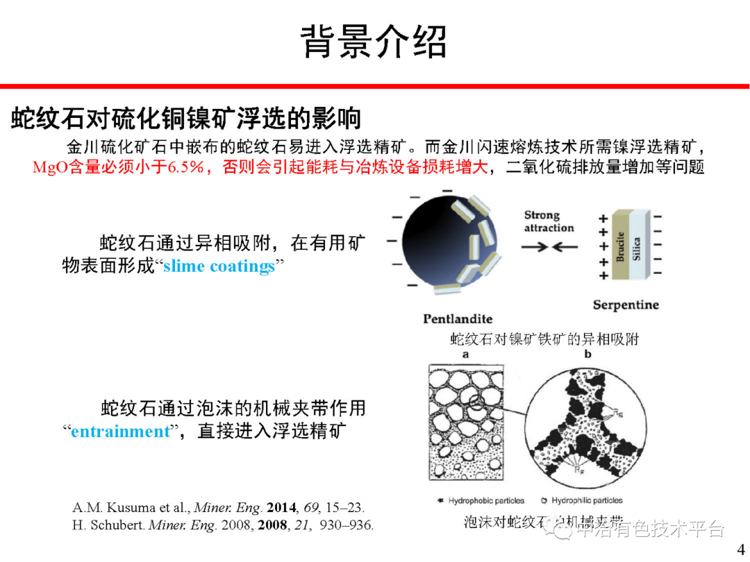 課堂 | 孫偉：金川銅鎳硫化礦降鎂藥劑探索的圖4