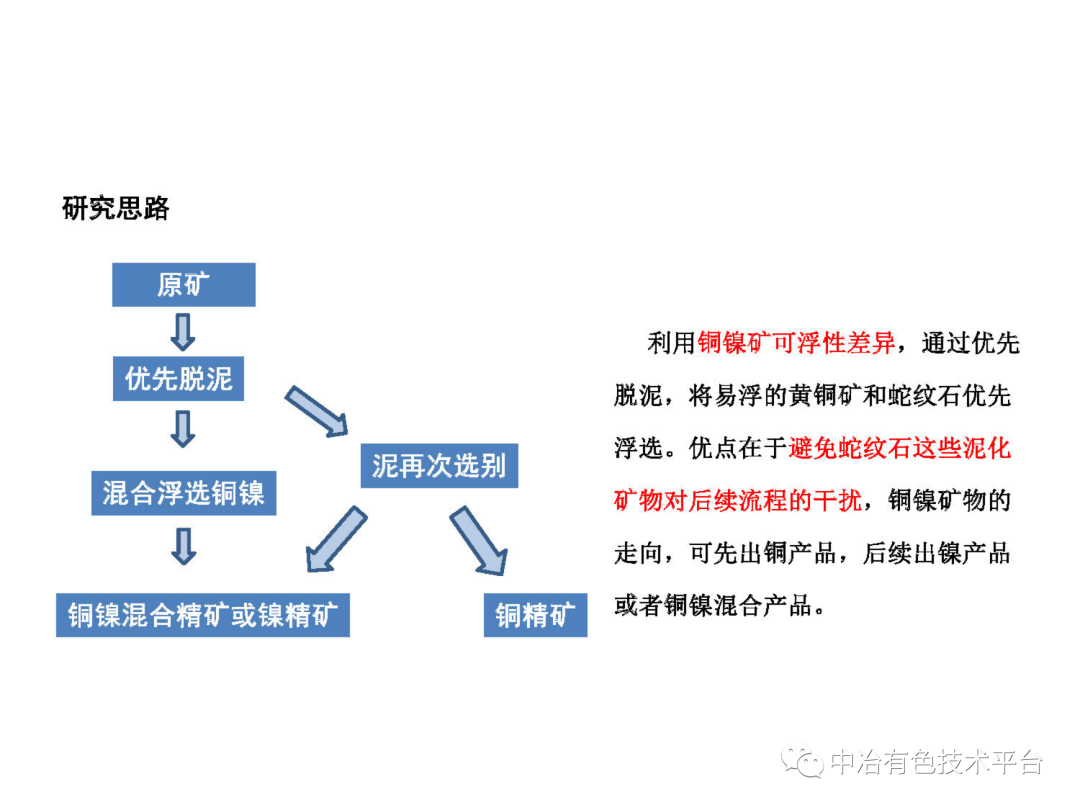 課堂 | 孫偉：金川銅鎳硫化礦降鎂藥劑探索的圖24