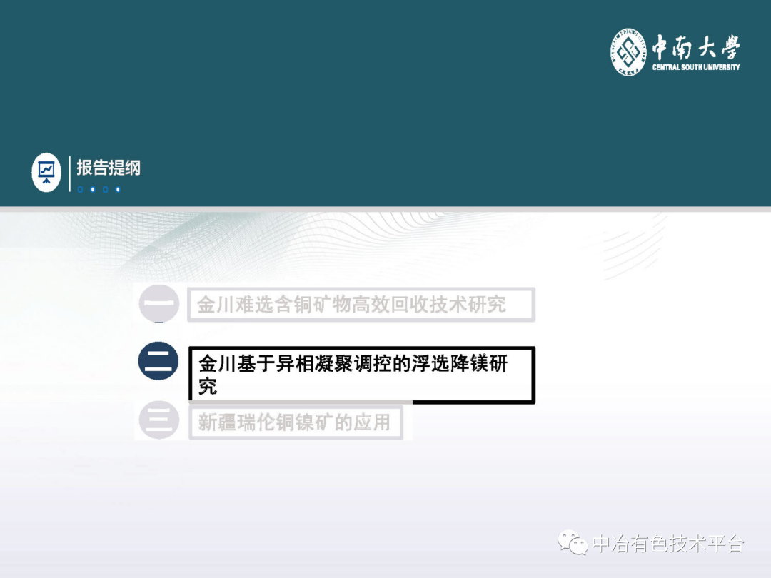 課堂 | 孫偉：金川銅鎳硫化礦降鎂藥劑探索的圖26
