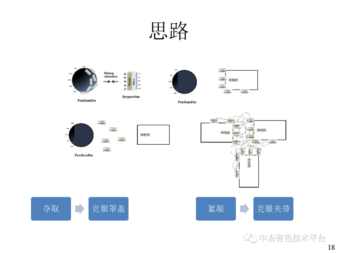 課堂 | 孫偉：金川銅鎳硫化礦降鎂藥劑探索的圖18