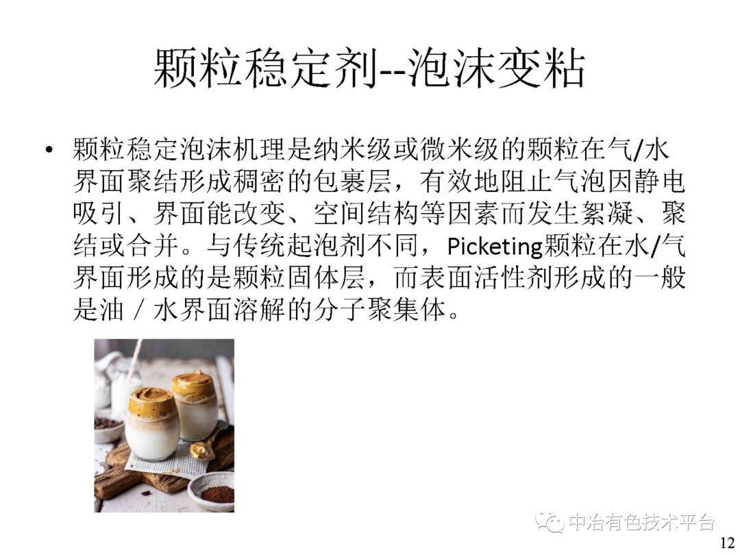 課堂 | 孫偉：金川銅鎳硫化礦降鎂藥劑探索的圖12