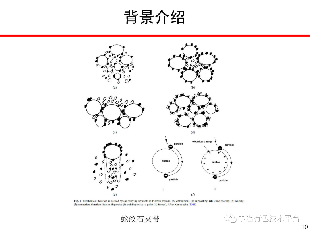 課堂 | 孫偉：金川銅鎳硫化礦降鎂藥劑探索的圖10