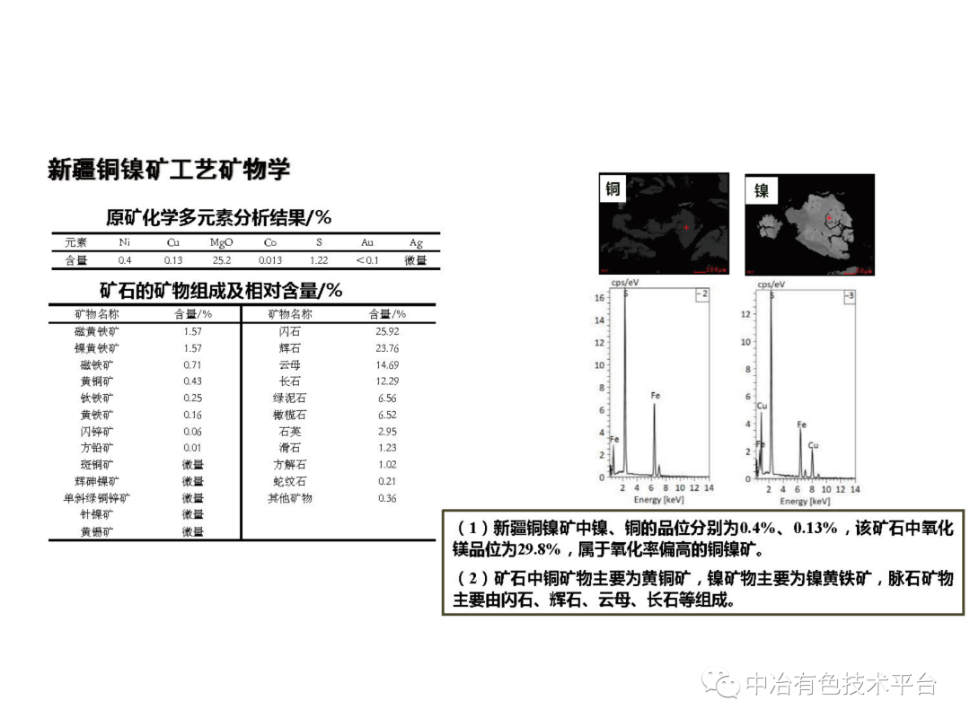 課堂 | 孫偉：金川銅鎳硫化礦降鎂藥劑探索的圖32