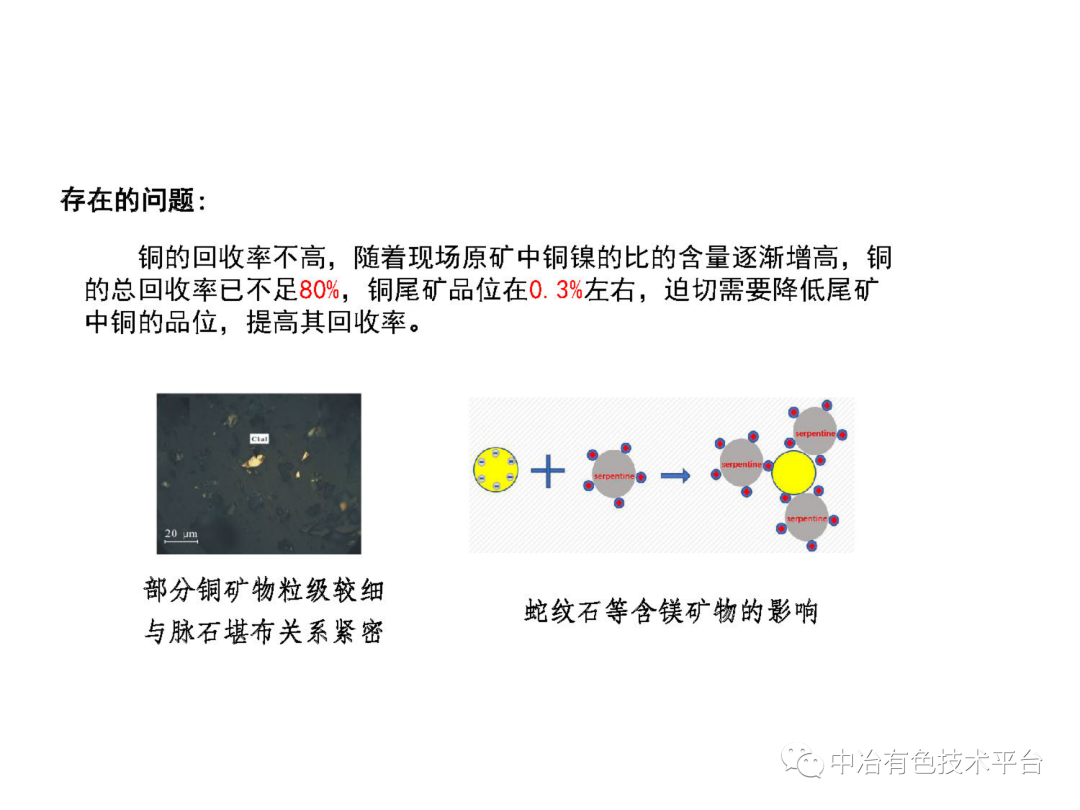 課堂 | 孫偉：金川銅鎳硫化礦降鎂藥劑探索的圖23