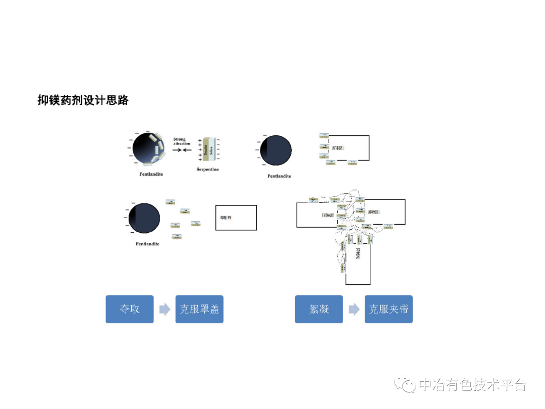 課堂 | 孫偉：金川銅鎳硫化礦降鎂藥劑探索的圖27