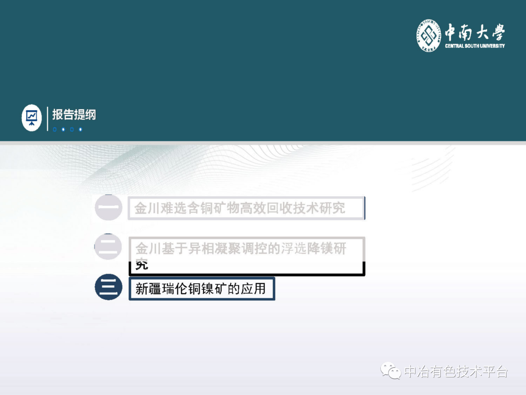 課堂 | 孫偉：金川銅鎳硫化礦降鎂藥劑探索的圖31