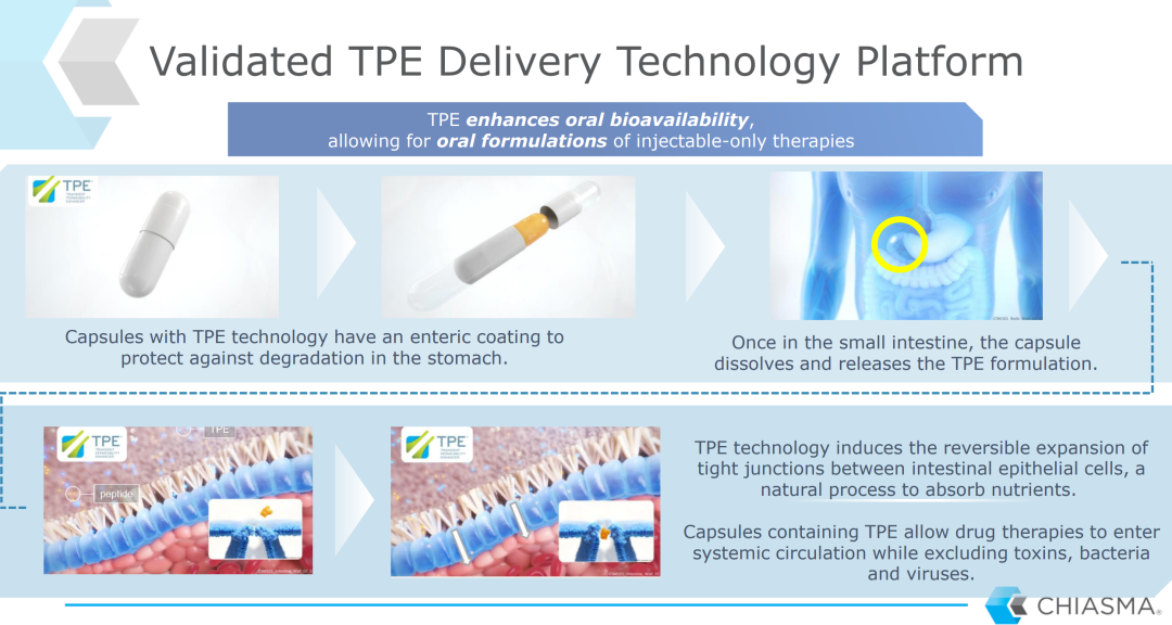 GMP多肽合成公司