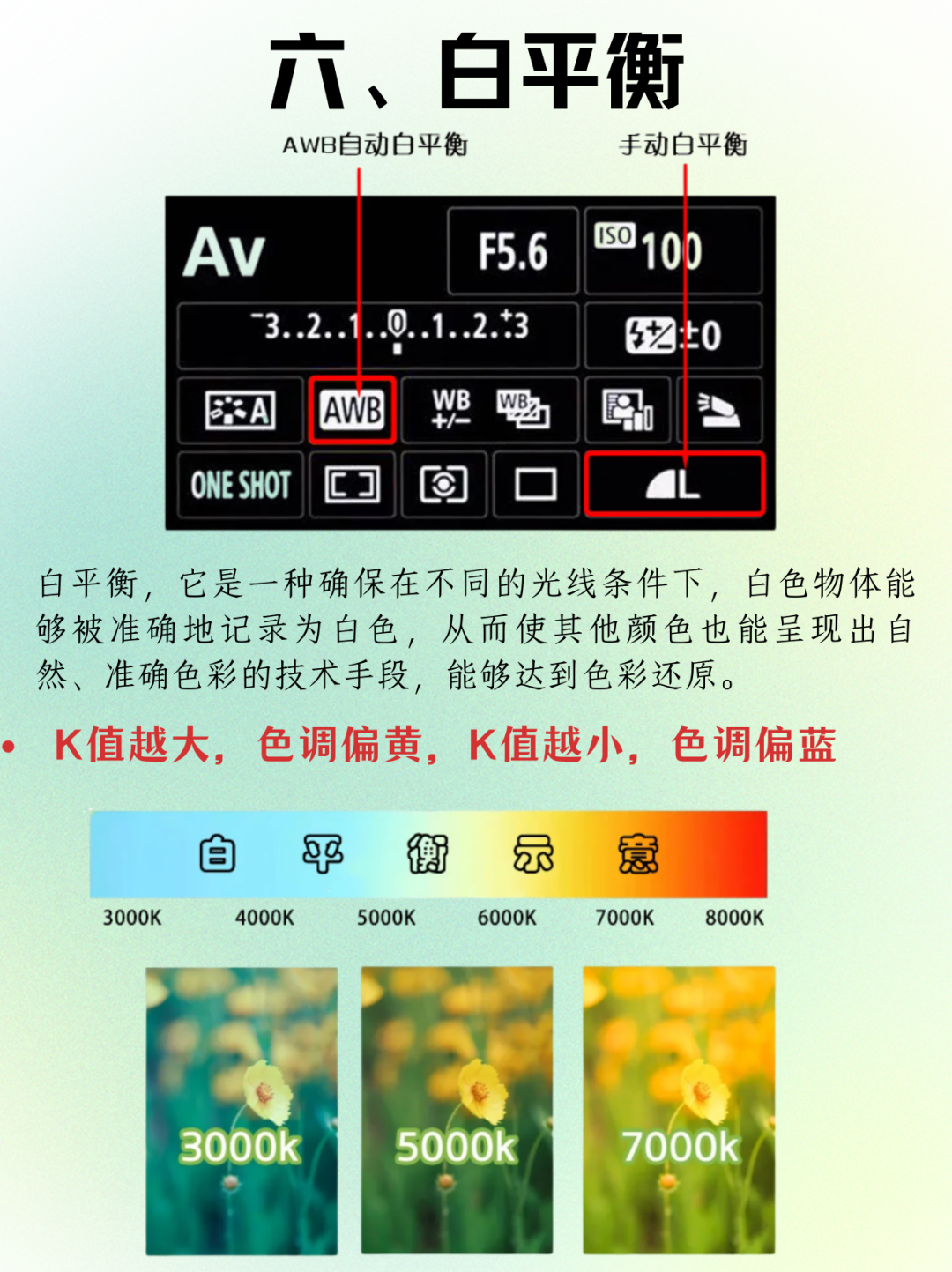 相机afc怎么调摄影干货 ｜ 相机调参数顺序是什么？别再搞错啦_https://www.jmylbn.com_新闻资讯_第37张